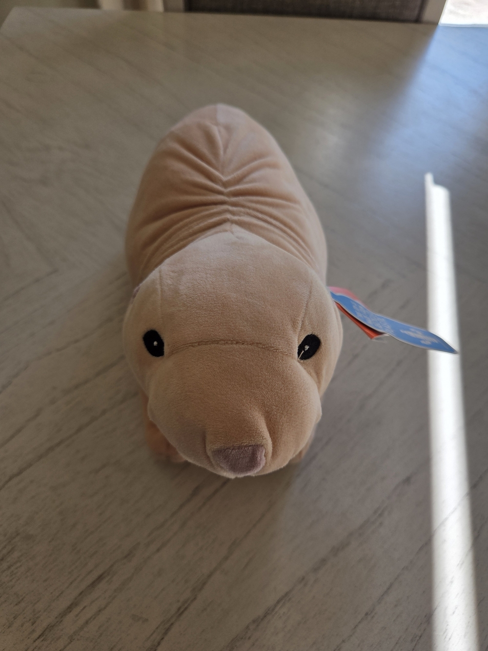 Wild Republic Cuddlekins Eco Mole Rat, Stuffed Animal, 12 Inch, Plush Toy
